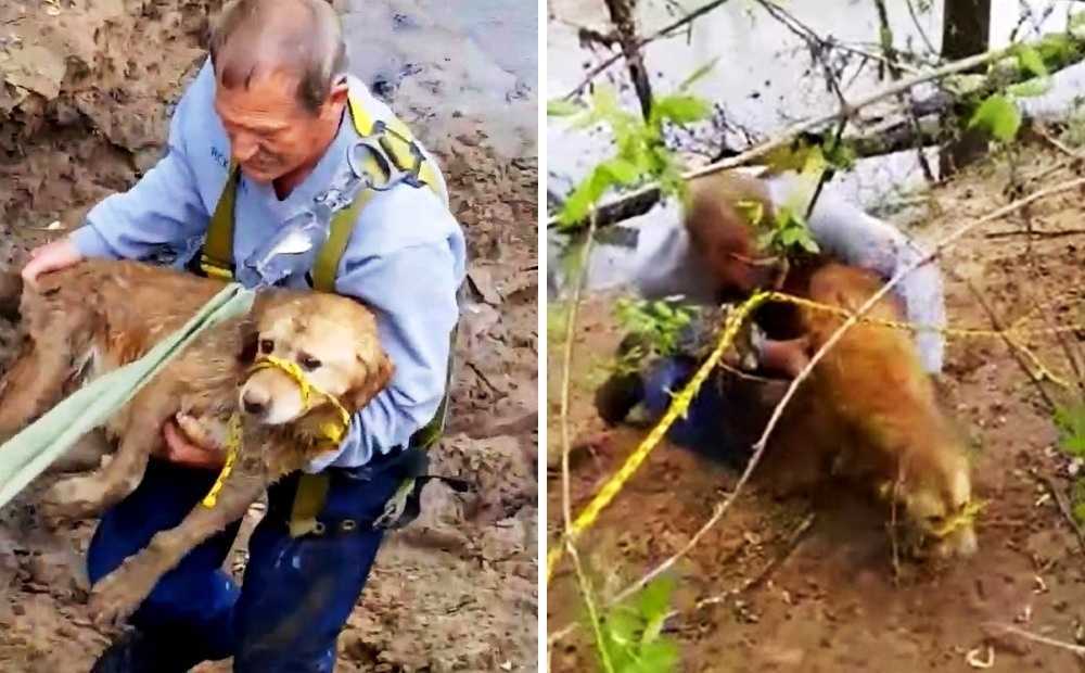 Nestali pas pronađen zaglavljen na obali rijeke, ali njezina misija spašavanja poprima ružan preokret